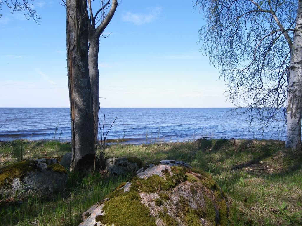 Willa Kiviranna Puhkemajad Suure-Rakke Zewnętrze zdjęcie